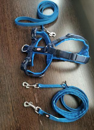 Комплект для цуценя:шлейка,повідець,повідець-перестібка premium-trixie