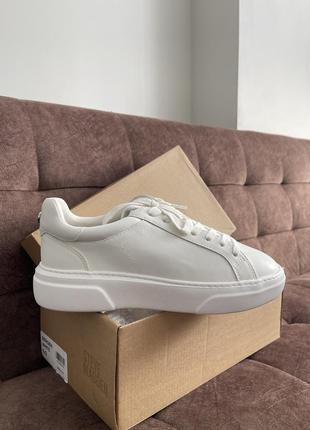 Кеди steve madden камуфляж