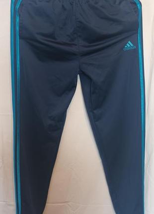 Мужские спортивные штаны adidas