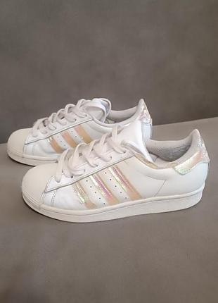 Кроссовки adidas superstar