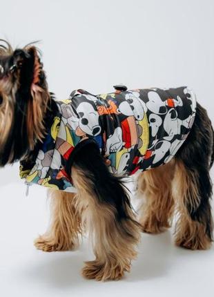 Одяг для тварин, жилетка для собак