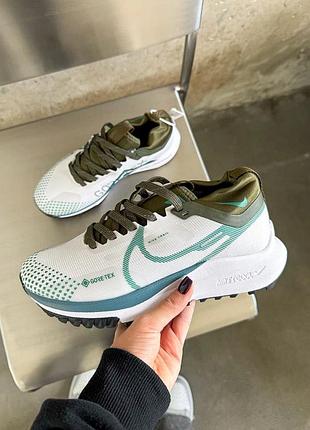 Стильные женские и мужские кроссовки nike trail pegasus gore-tex white blue premium белые