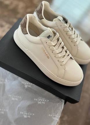 Кеди coach