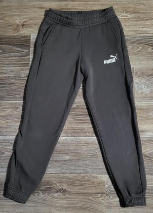 Женские спортивные штаны puma