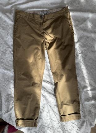Жіночі штани бежевого кольору 16 розмір від next на високий зріст
