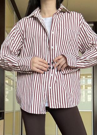 Сорочка zara