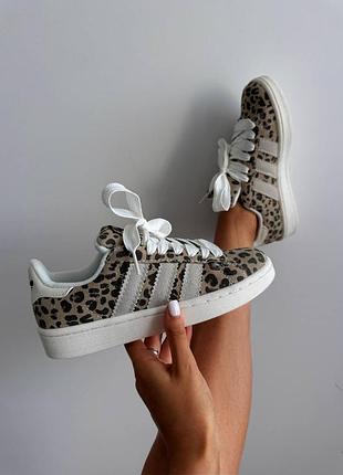 Кроссовки женские adidas frames campus leopard premium