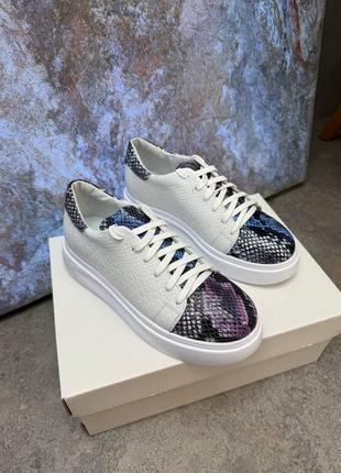 Кожаные кеды с элементами яркой цветной рептилий