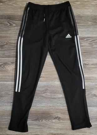 Чоловічі спортивні штани adidas