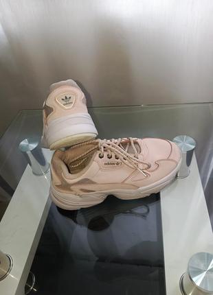 Adidas falcon