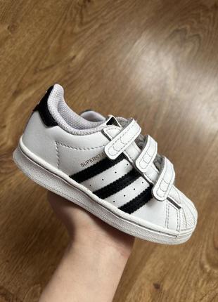 Кроссовки adidas superstar оригинал 25 р