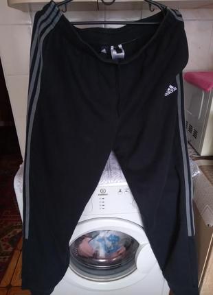 Чоловічі спортивні штани adidas