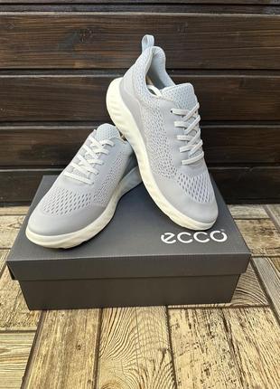 Кроссовки сетка ecco sp.1 lite k 38
