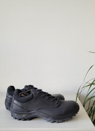 Черевики шкіряні оригінал ecco 890303 professional рр.36-39