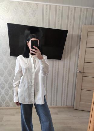 Рубашка timberland 100% коттон, классика моды, идеальный вариант весна-лето