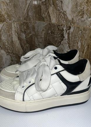Брендові шкіряні кеди kurt geiger london