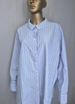 Бавовняна сорочка h&m