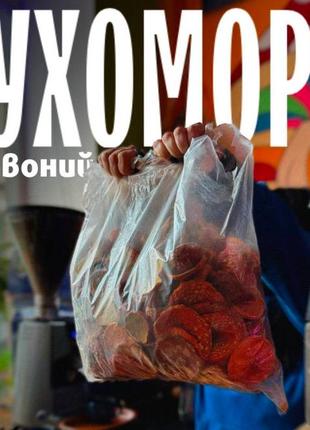 Придбати червоний мухомор з карпат — унікальна можливість!