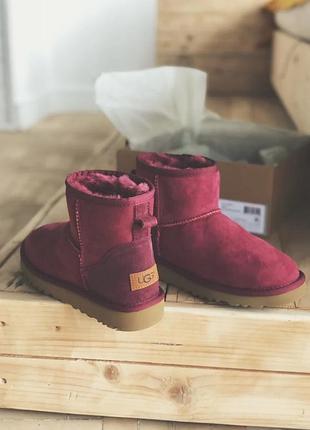 Зимние женские угги на меху ugg cherry mini бордовые (черри мини, уггі)