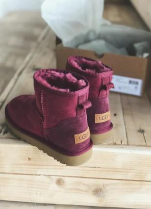 Зимние женские угги на меху ugg cherry mini бордовые (черри мини, уггі)2 фото