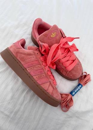 Adidas campus  “peach gum” premium