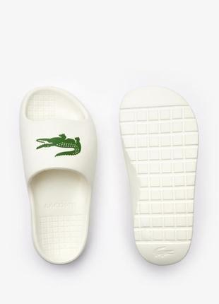 Шлепанцы lacoste оригинал