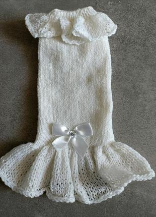 Сукня для кішки або маленької собачки .