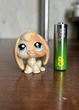 Little pet shop