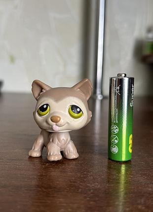 Игрушка lps