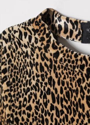 Бархатное боди с длинным рукавом в тигровый принт h&m, размер s2 фото