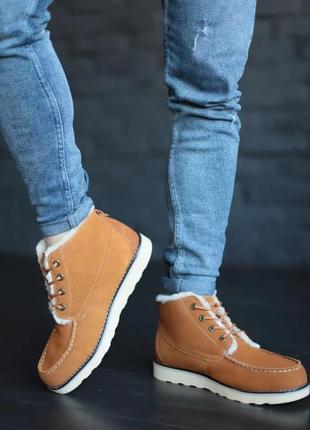Зимние мужские ботинки с мехом ugg коричневые (угги, черевики)2 фото