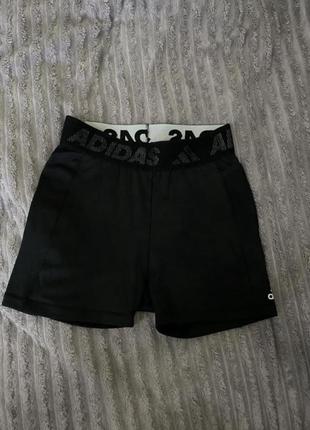 Спортивні шорти adidas