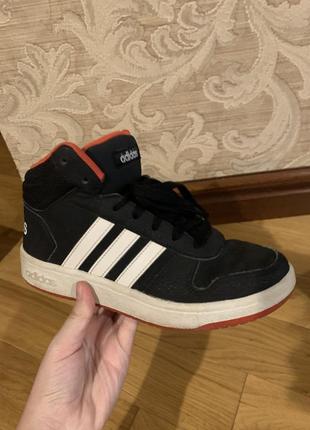 Кроссовки adidas 3