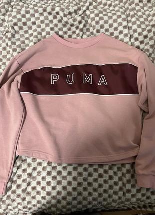 Худі puma 🔥