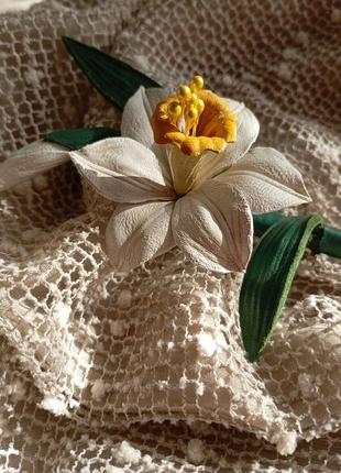 Брожка нарцис 2