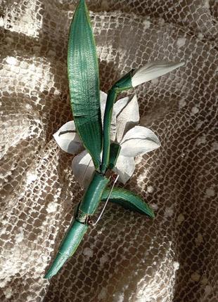 Брожка нарцис 3