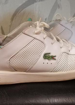 Кроссовки lacoste, мужские, подростковые