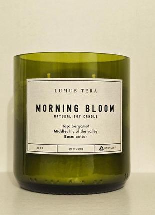 Соєва свічка в скляній тарі