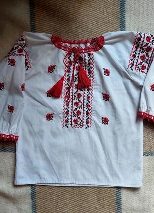 Вишиванка для дівчинки