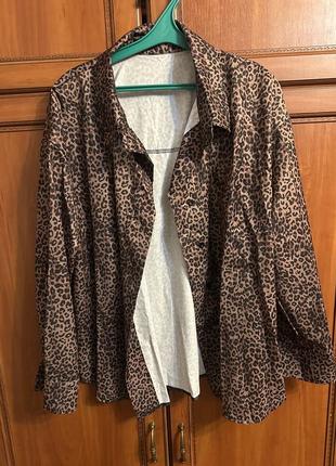 Леопардова сорочка 3