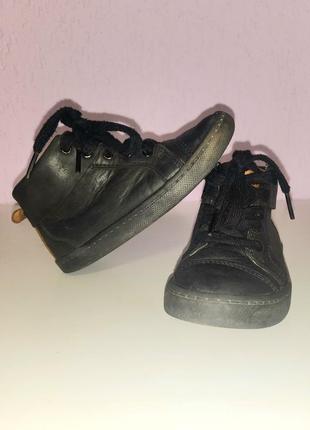 Детские кожаные ботинки clark's. унисекс.