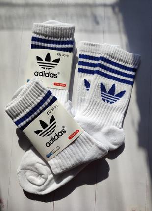 Шкарпетки adidas високі