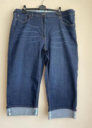 Бріджі великий розмір