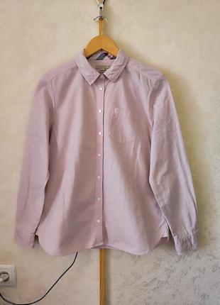 Рубашка burberry 🔥 pink оригинал