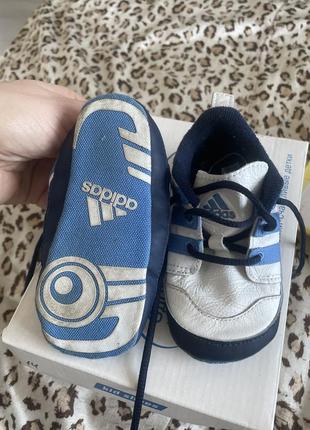 Кроссовки, пинетки, кеды adidas