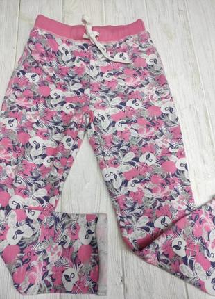 Спортивные штаны на девушку 110-116 lulu castagnette