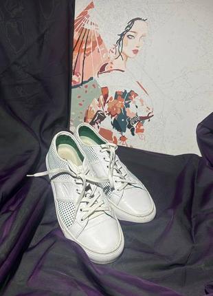 Кеды lacoste кожа