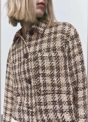 Жіноча твідова укорочена сорочка в клітинку zara