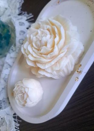 Свічка півонія