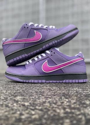 Кросівки nike sb dunk low purple lobster